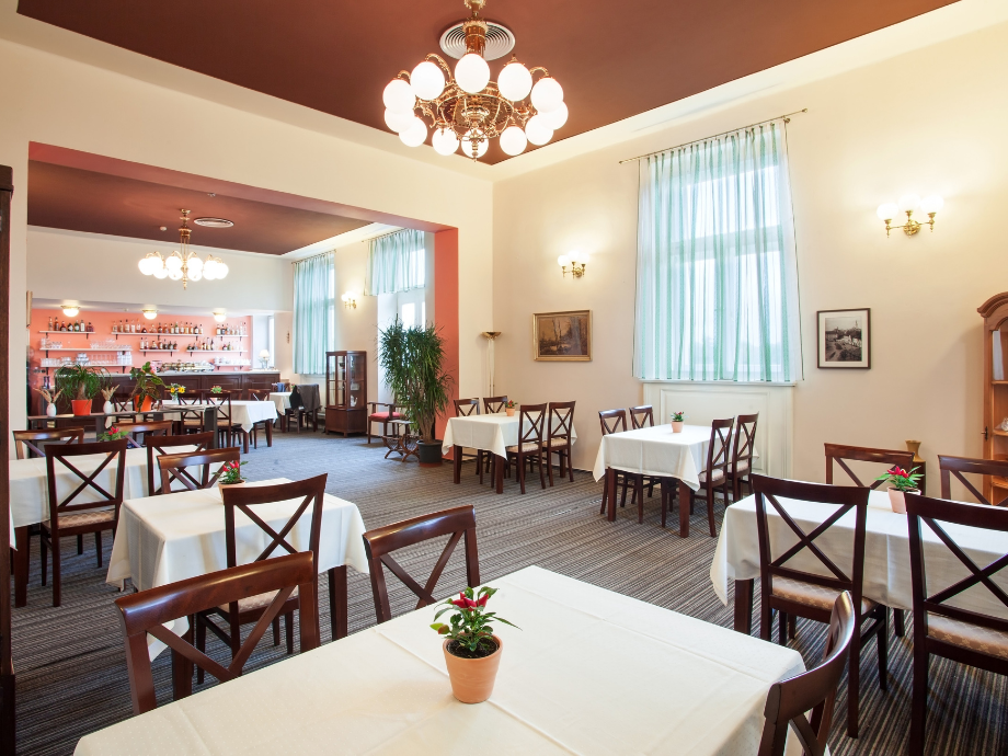 Bright dining room with white-tableclothed tables, wooden chairs, plants, and a bar in the back.