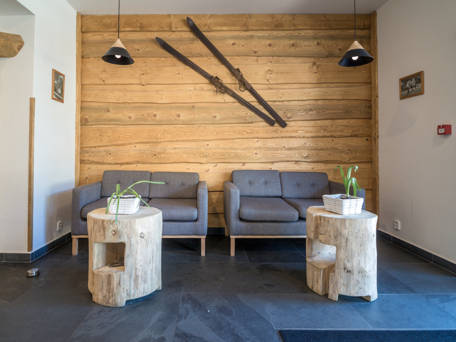 Two gray sofas sit in front of a wood paneled wall with vintage skis mounted above, and rustic log tables with potted plants nearby.