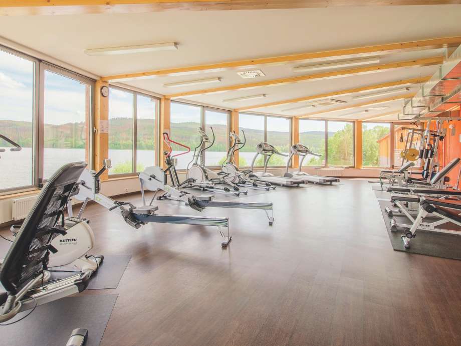 Bright gym with rowing machines and treadmills along large windows overlooking a lake or outdoor scenery.