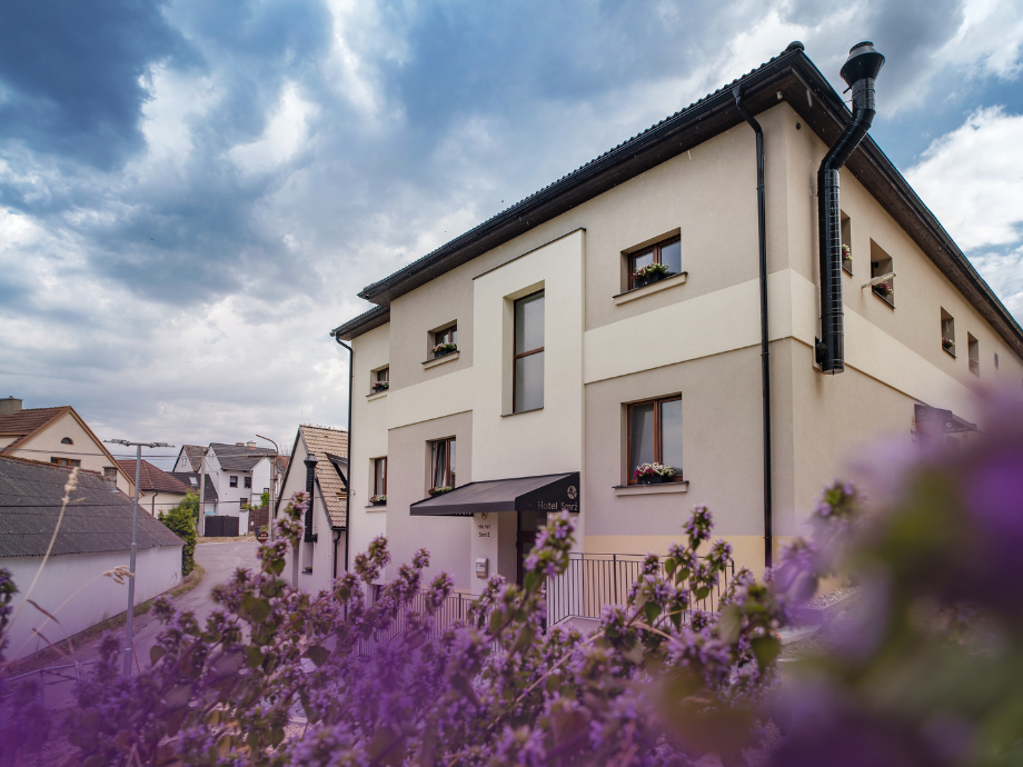 Beige three-story hotel with a dark awning over the entrance, window boxes, and purple lavender in the foreground under a cloudy sky.